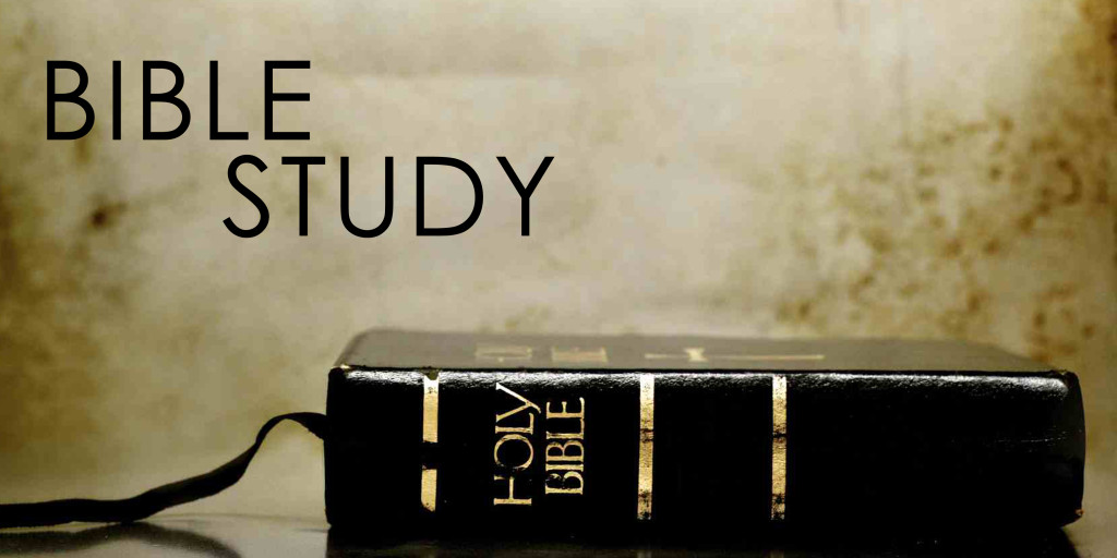 Bible-Study-Glossy-Bible-KJV