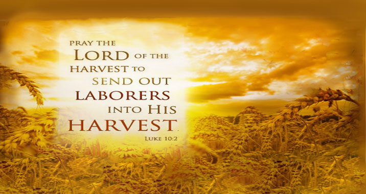 Pray Lord of the Harvest
