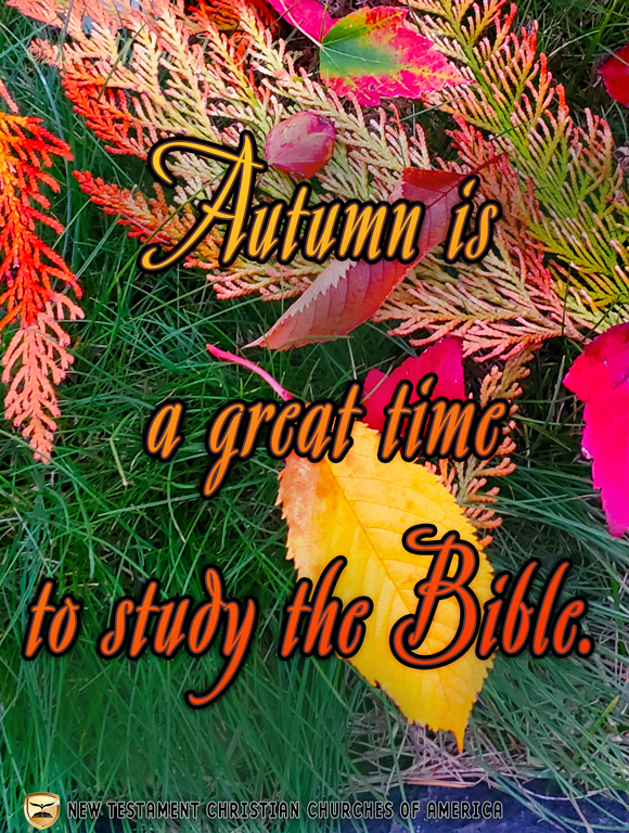 Autumn is a great time to study the Bible