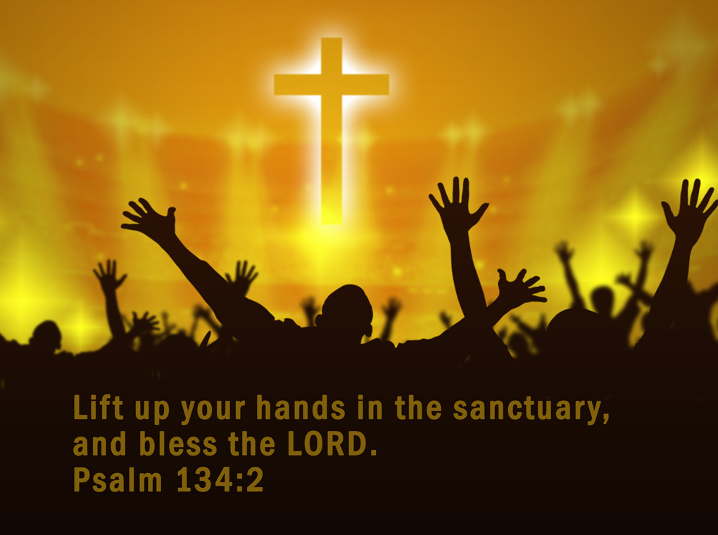 Lift up you hands in the sanctuary and bless the LORD