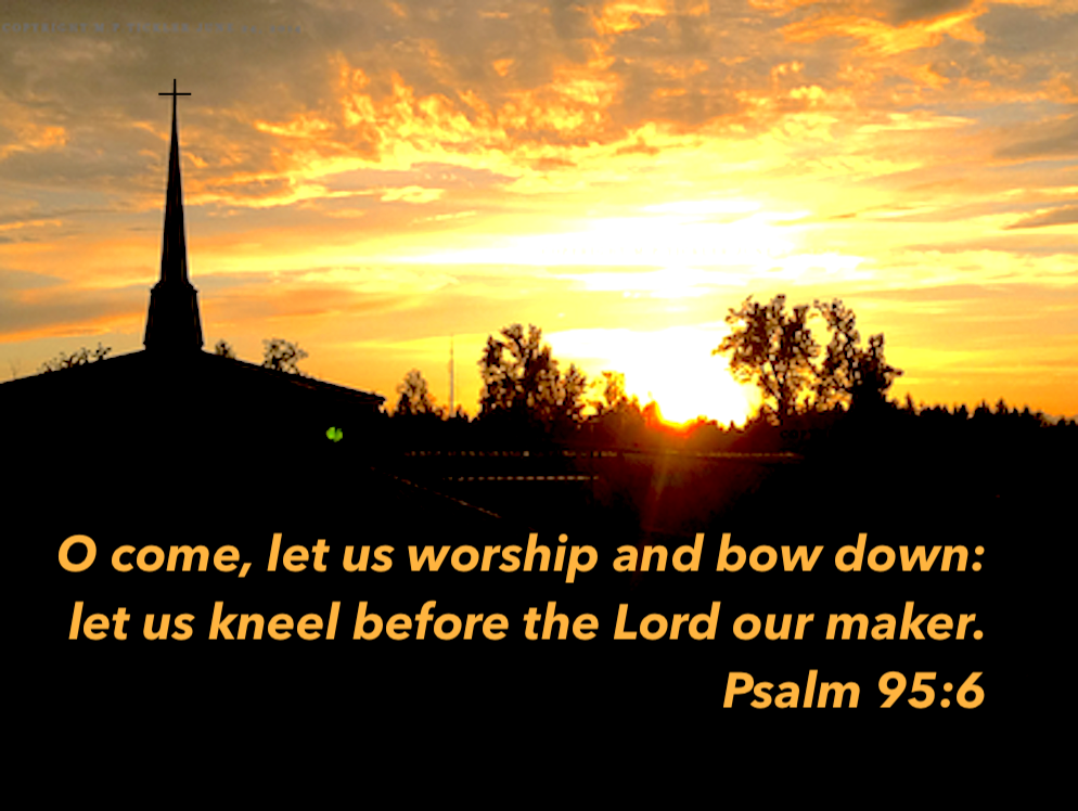 Let us worship and bown down Psalm 95:6