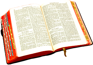 Open Bible Red edges