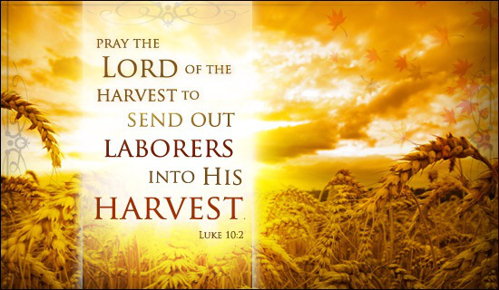 Pray Lord of the Harvest